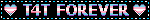 T4T forever stamp A blinkie that says "T4T forever" with trans flag colored text (blue, pink, white, pink, blue). It has a black background with white and blue edges and a heart icon on both sides